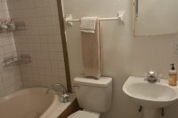 master-bath4